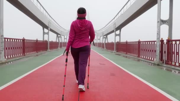 Nordic Walking. Młoda Gruba kaukaski kobieta turystyka z biegunów nordyckich. Powrót Follow shot. — Wideo stockowe