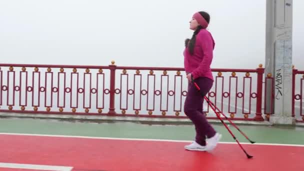 Nordic Walking. Młoda Gruba kaukaski kobieta turystyka z biegunów nordyckich. Side Follow strzał. — Wideo stockowe
