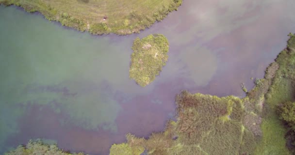 Vue aérienne par drone de l'herbe du lac de campagne et des îles vertes du lac à partir de la canne à roseau 