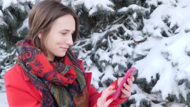 冬の公園でスマート携帯電話を使用して興奮した女性の側面図の肖像。スローモーション — ストック動画