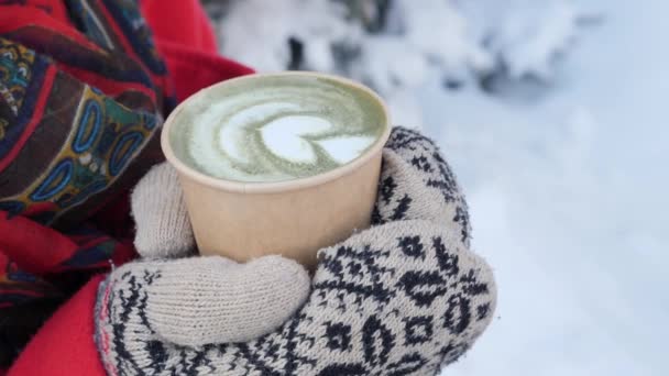 Cerrar las manos en manoplas de punto que sostienen una taza de café caliente o té al vapor en la nevada mañana de invierno al aire libre — Vídeo de stock