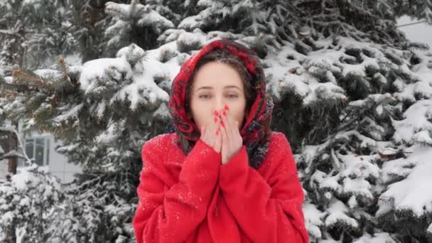 Belle jeune femme caucasienne essayant de réchauffer les mains gelées souffle en hiver — Video
