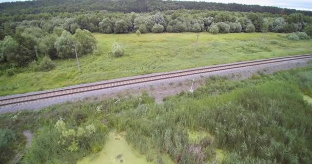 Vue Aérienne Par Drone Du Pont En Bois De Champ De Canne De Roseau Et De La Voie De Train Près De Marais — Video