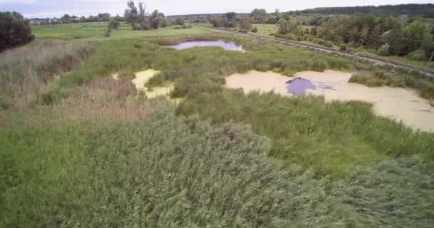 Vista aérea do drone do campo da cana-de-açúcar e da trilha do trem perto do pântano — Vídeo de Stock