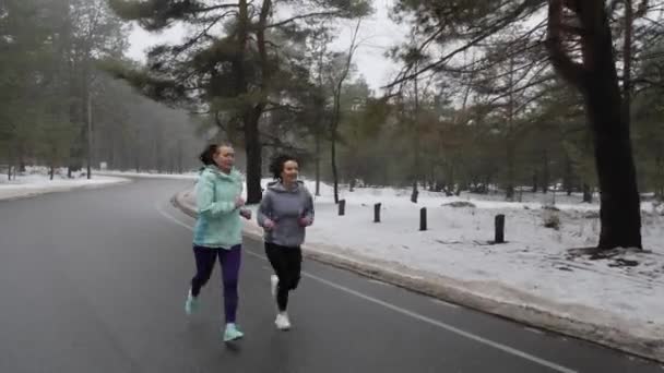 Happy Senior och unga kaukasiska kvinnor som kör i den snöiga parken i vinter pratar och leende. Främre Följ shot. — Stockvideo