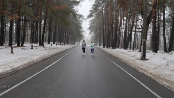 Happy Senior i młodych kaukaski kobiet działa w snowy parku zimą rozmawiać i uśmiechnięty. Przedni strzał statyczny. Zwolnionym — Wideo stockowe