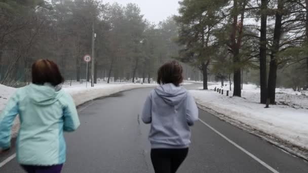 冬の雪の公園で走っている先輩と白人の若者たちが話して、微笑んでいます。バックスタティックショット。スローモーション — ストック動画