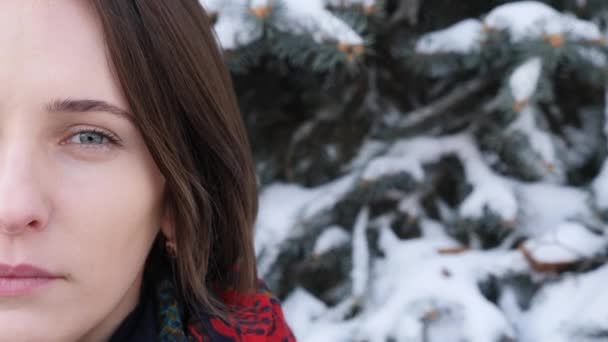 Close Up Portrait of Woman half face looking into the camera in winter — Stock Video