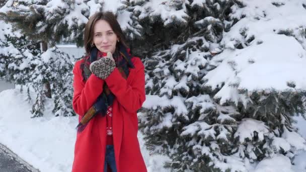 Hermosa joven morena con abrigo rojo, bufanda, manoplas, sonriente congelación tratando de calentar, soplando en las manos fuera en invierno día nevado — Vídeo de stock