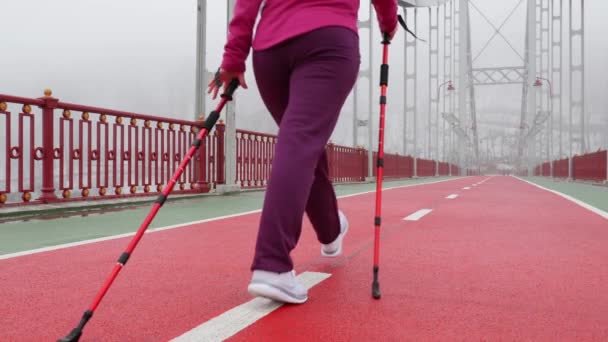 Nordic Walking. Jonge mollige Kaukasische vrouw wandelen met de Nordic Polen. Terug statisch schot. Slow Motion — Stockvideo