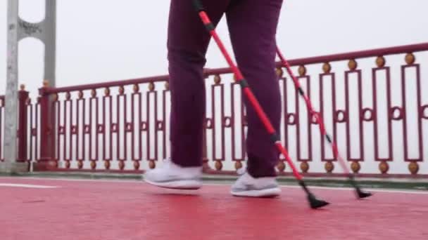 Nordic walking. Young chubby Caucasian woman hiking with the Nordic poles. Close up Back Follow Shot. Slow motion — Stock Video
