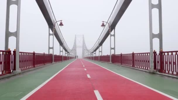 Junge mollige Kaukasierin, die auf einer Brücke läuft. Schuss zurück. lila Outfit — Stockvideo