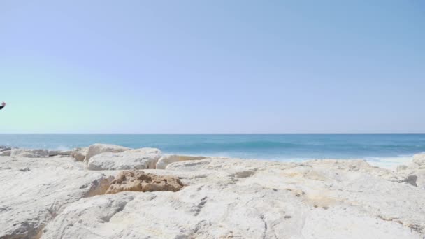 Joven hombre caucásico en forma deportiva en negro corriendo y saltando sobre las rocas en la playa. Olas salpicando en un día soleado y ventoso. Moción lenta — Vídeo de stock