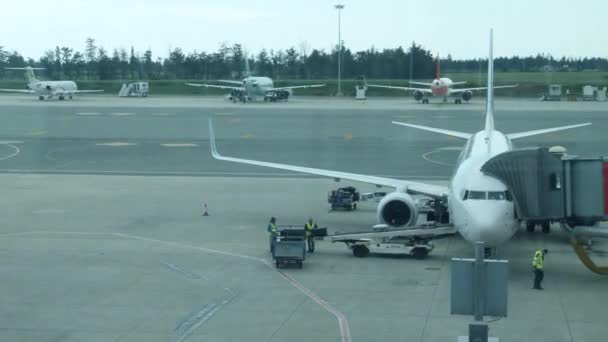 Personale aeroportuale con bagaglio sul nastro trasportatore dell'aereo. I bagagli vengono caricati su un aereo passeggeri dai lavoratori dell'aeroporto — Video Stock