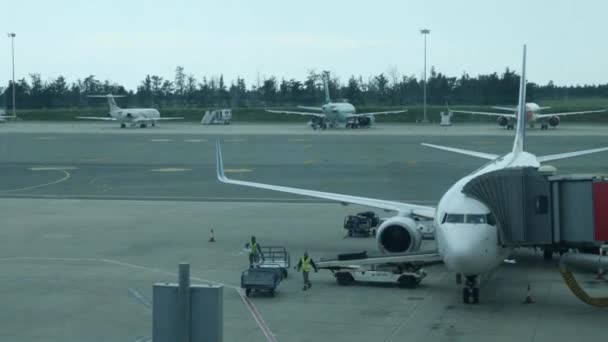 Il personale aeroportuale mette i bagagli sul nastro trasportatore dell'aereo. I bagagli vengono caricati su un aereo passeggeri dai lavoratori dell'aeroporto — Video Stock