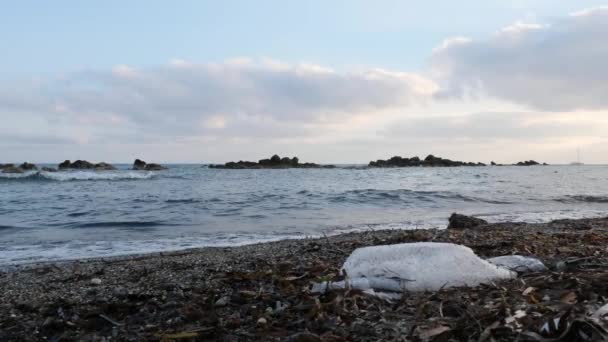 Bolsa de plástico en la playa de arena con olas que golpean la orilla del mar. Contaminación playa. Movimiento lento — Vídeo de stock