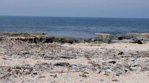 Skalnatá pláž s odpadky a odpadky. Koncepce znečištění životního prostředí. Zpomaleně — Stock video