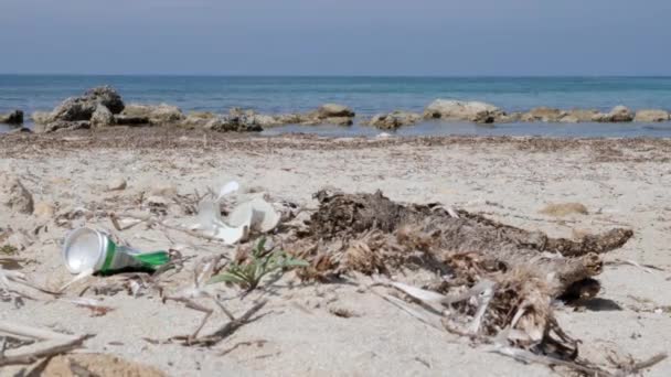 Puszki wodne i plastikowe butelki na piaszczystej plaży. Zanieczyszczenie plaży. — Wideo stockowe