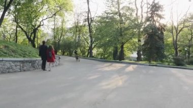 Sıska güçlü bisikletçi parkta tepeye kadar sprint. Dağlarda bisiklet eğitimi. Bisiklet konsepti.
