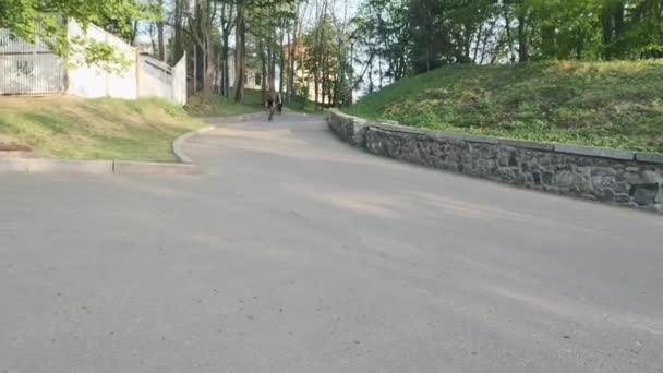 Focused sportive triathlete rides down the hill on curvy road turning. Triathlon concept. — Stock Video
