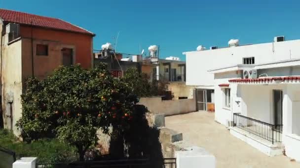 Drone sube en los paphos de la ciudad del cyprus con el árbol anaranjado delante y edificios de la ciudad con azoteas rojas. Vista aérea — Vídeos de Stock