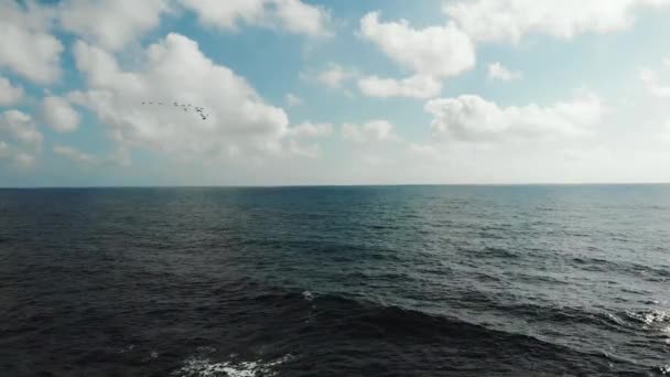 Vista aérea do bando de pássaros voando sobre o mar ondulado com ondas atingindo a praia rochosa. Drone tiro de pássaros voando em rebanho . — Vídeo de Stock