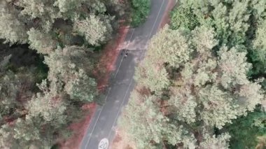 Parktan bisikletle geçen genç bisikletçiler grubunun havadan drone görünümü. Parkta bisiklet rekreasyon