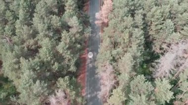 Sportif genç çekici triathlete pembe kıyafet giyiyor parkta onu bisiklet egzersizleri yapıyor. İnsansız hava aracı görünümü. Triatlon konsepti