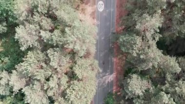 Parkta bisiklete binen pembe mayogiyen genç çekici bisikletçi kızın havadan drone görünümü. Bisiklet konsepti.