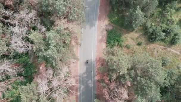 Aerial drone view of the young attractive triathlete girl in pink sportswear riding her road bike in the park. Triathlon concept. Drone view — Stock Video