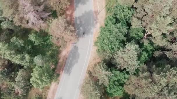 Junge attraktive fokussierte Frau in rosa Outfit und mit dem Fahrrad durch den Wald. Drohnenblick. Rennradfahren — Stockvideo