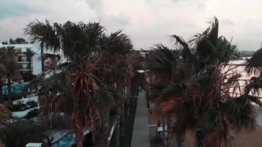 Oteller ve kayalık plaj ile turistik alanda palmiye havadan görünümü. Palmiye, havuz ve şezlong ile yaya gezinti drone çekim