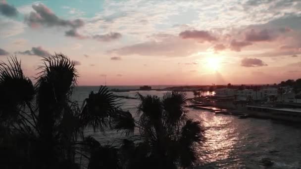 Aerial drone view of ocean and tourist promenade at sunset with close-up view of palms of the front — Stock Video