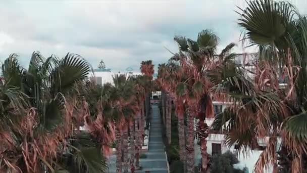 Drone vista superior de la ruta peatonal con palmeras y hoteles. Foto aérea de palmeras en la ciudad con edificios blancos y paisaje de montaña — Vídeo de stock