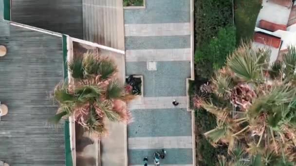 Vista aérea superior del sendero peatonal con personas que caminan. Foto de dron de familia feliz con niño paseando por la zona turística con palmeras y hoteles — Vídeos de Stock