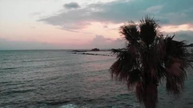 Önünde palmiye ile turistik alan, barlar ve restoranlar ile akşam şehir havadan görünümü.