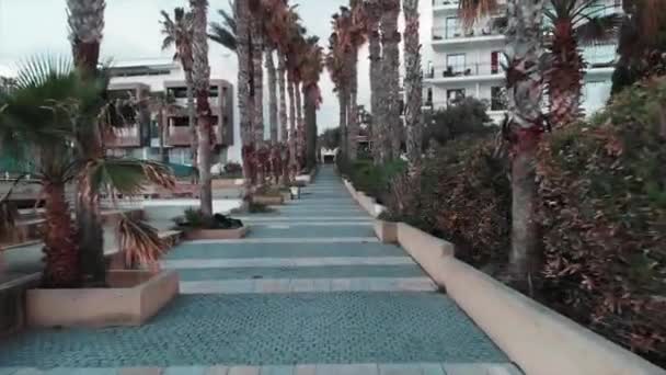 Drone flying along tourist pedestrian path with palm trees — Stock Video