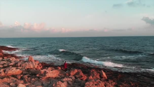 Joven encantadora turista femenina tomando fotos de hermoso océano con grandes olas al atardecer rosa en su cámara profesional — Vídeo de stock