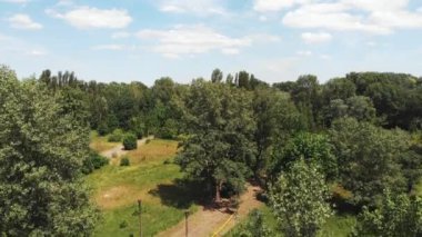 Ufukta mavi gökyüzü ile güneşli bir günde büyük ağaçlar ve turistik yolları ile yeşil şehir parkı havadan drone çekim