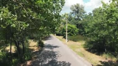 Drone yeşil şehir parkında uçmaya başlar. Yeşil ağaçlarla şehir parkının drone çekimi. Doğanın havadan görünümü. Yeşil şehir ormanı