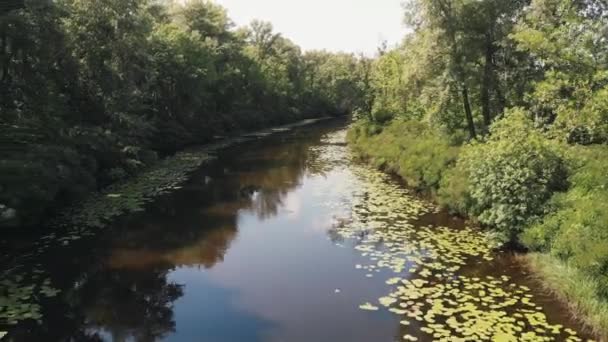 아름다운 자연과 풍경의 공중 보기. 드론은 강과 숲 근처를 날아다닙니다. 녹색 공원과 작은 강의 아름다운 전망. 트루하노프 섬 — 비디오
