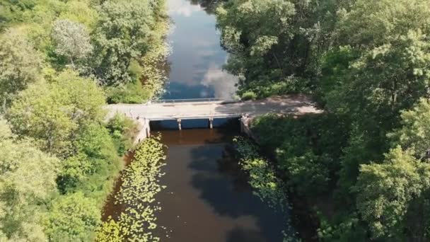 Prachtig uitzicht op het landschap vanuit bird's Eye. Luchtfoto van de rivier. Drone vliegt door Little Bridge in City Park. Eiland Truhanov. Drone-weergave van prachtige natuur — Stockvideo