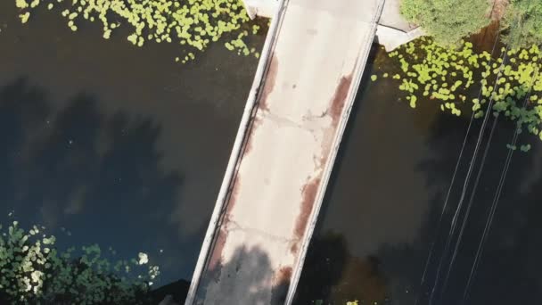 Дрон вращается вокруг маленького моста. Вид с воздуха на реку и мост. Красивая природа и пейзаж. Остров Труханова — стоковое видео