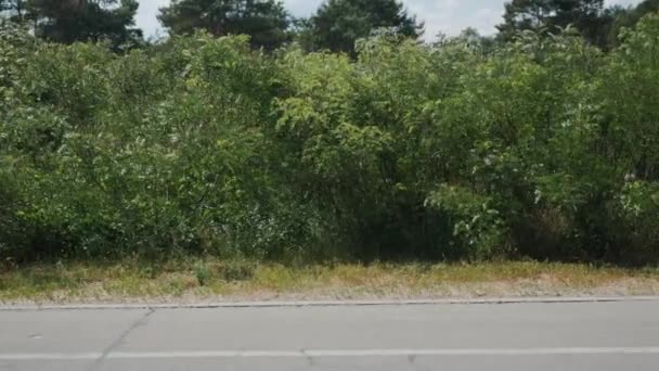 Attraktiv ung brunett tjej i rosa skjorta som rinner genom parken. Sportiga kvinnan gör övningar. Flicka i hörlurar utbildning i parken. Flicka med rolig solbränna. Löpande koncept. Slow motion — Stockvideo