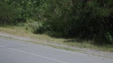 Parkta çalışan selülitli genç sportif kadın. Parkta pratik yapan pembe spor giyim li ve kulaklıklı çekici kız. Ormanda kadın koşucu eğitimi. Selülitli genç kız. Koşu egzersizleri