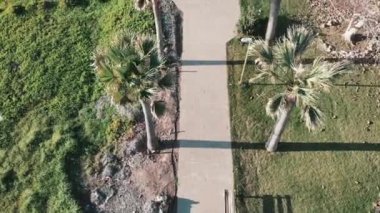 Palmiye ağaçları ve yeşil çim ile yaya yolu gezinti üst havadan görünümü. Drone otel alanı yakınında yürüyüş yolu üzerinde uçar. Palmiye ile deniz kıyısı boyunca beton yaya yolu havadan çekim