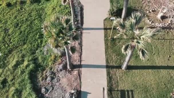 Top luchtfoto van voetganger pad promenade met palmbomen en groen gras. Drone vliegt over een wandelpad in de buurt van het hotel. Luchtfoto van betonnen voetgangers weg langs de kust met palmen — Stockvideo