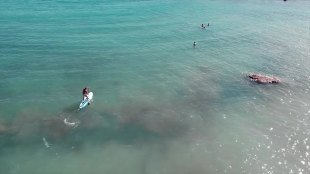 Drone view of sea with crystal clear blue water. Attractive men swimming on sea. Young boy on sup.  Aerial view of group of sportive men swimming in blue clear sea water. Drone shot of Coral Bay beach — Stock Video