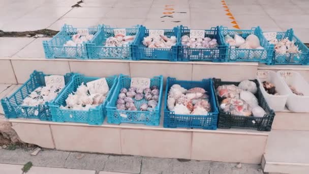 Cesti di plastica pieni di souvenir di mare di conchiglie su strada. Mercato delle pulci . — Video Stock