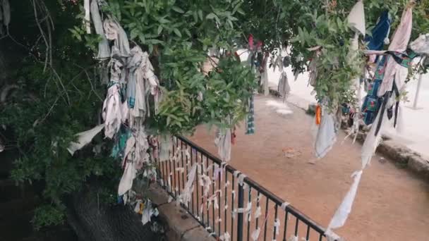 Souhaitez arbre et souhaiter zone de clôture près de l'ancienne église et le tombeau en paphos cyprus. Grand arbre à voeux avec des rubans nœuds . — Video